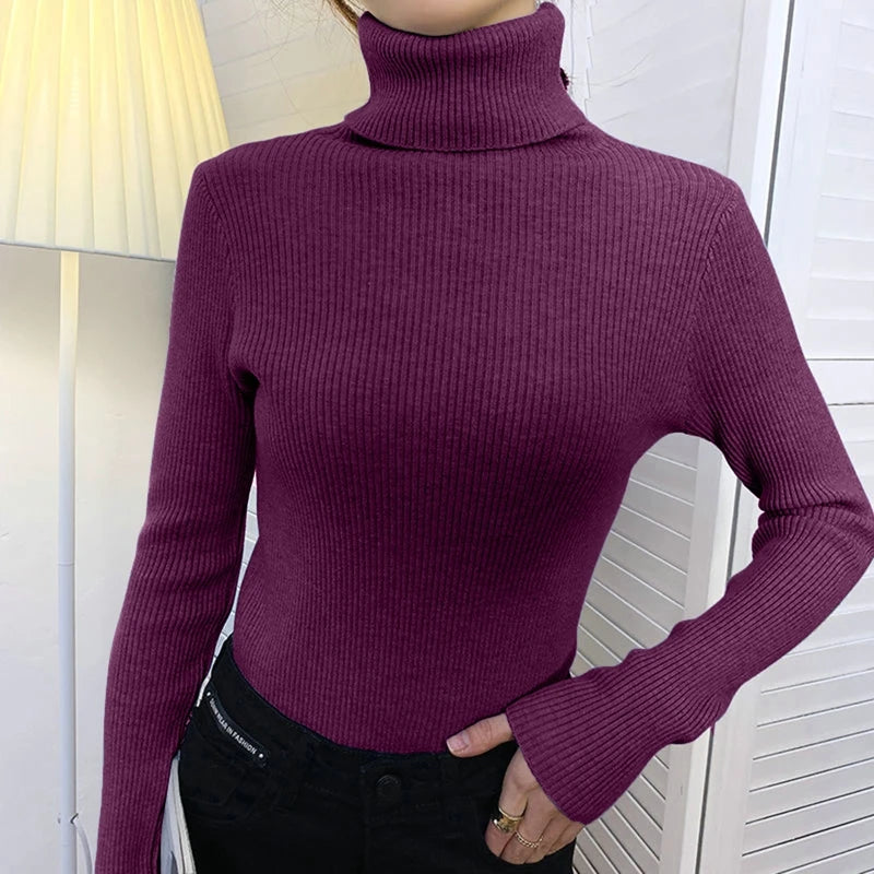Heliar Women Fall Turtleneck Sweater