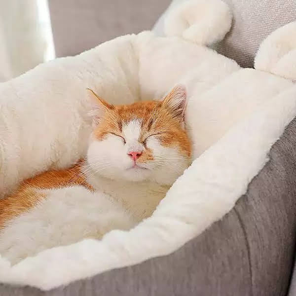 Fast Shipping CAT BED SLEEPING BAG